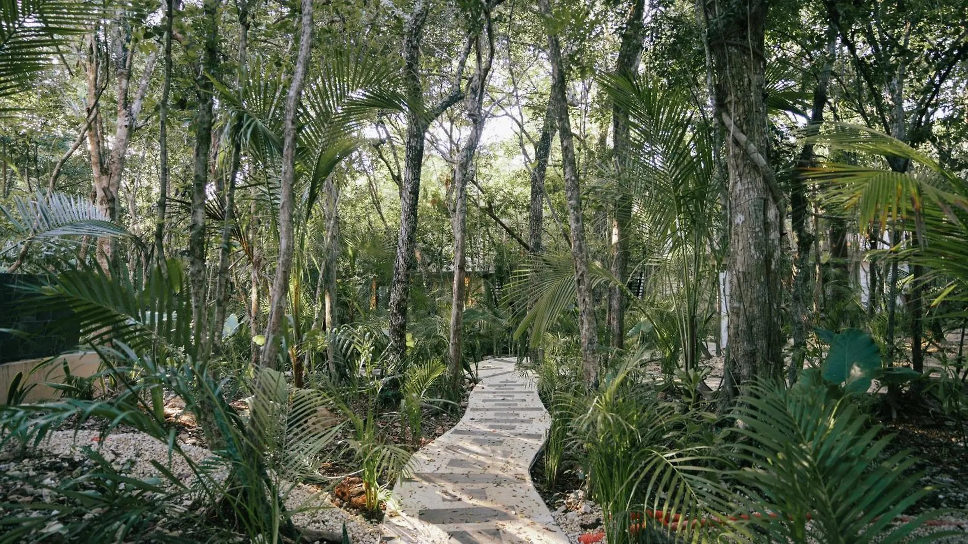 Vakantiehuis Tulum Jungle Villa Fuego Chemuyil